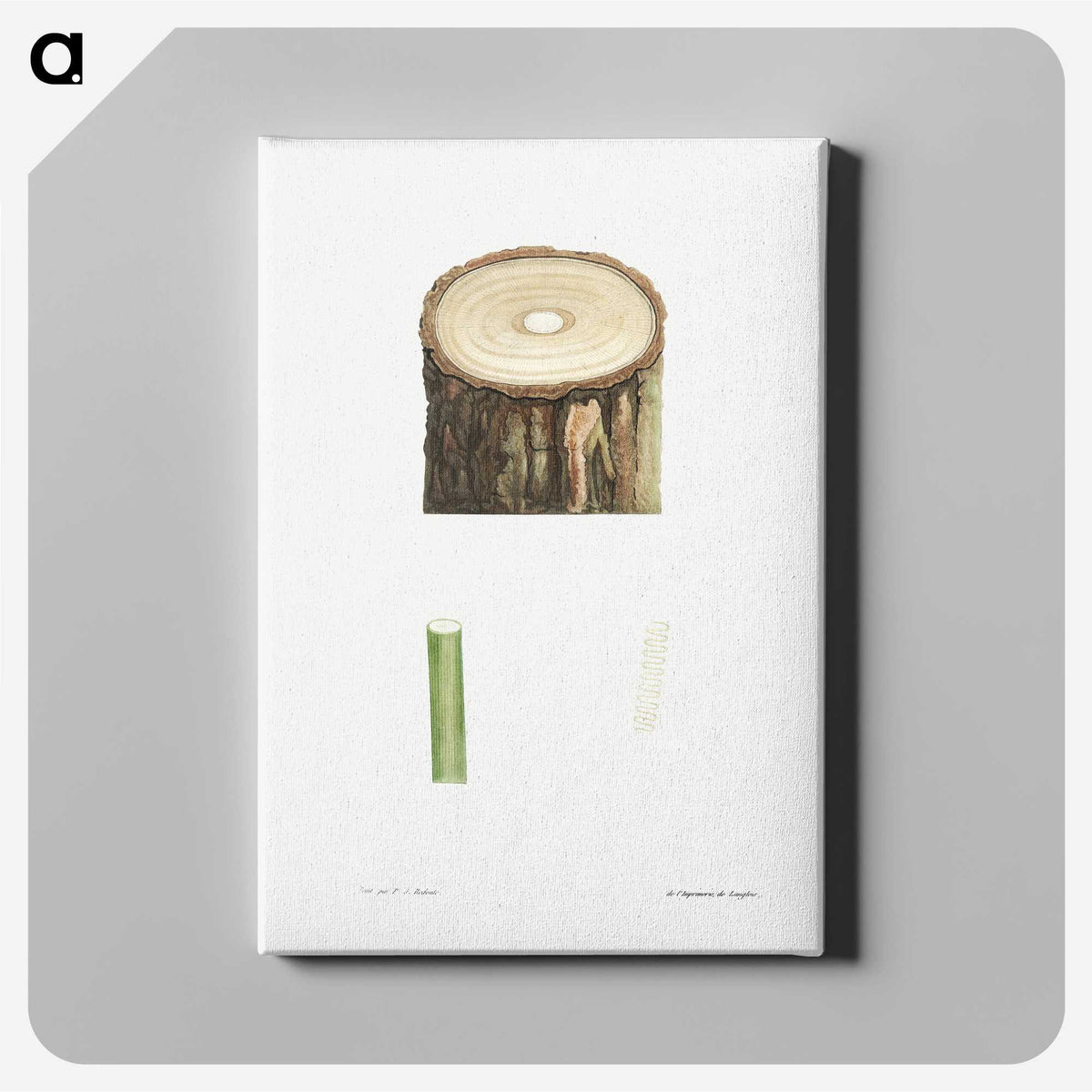 1-51_La-Botanique_canvas