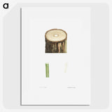 1-51_La-Botanique_picture