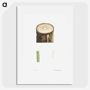 1-51_La-Botanique_picture