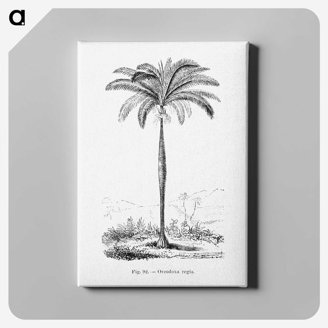 1-51_Les-Palmiers-Histoire-Iconographique_canvas