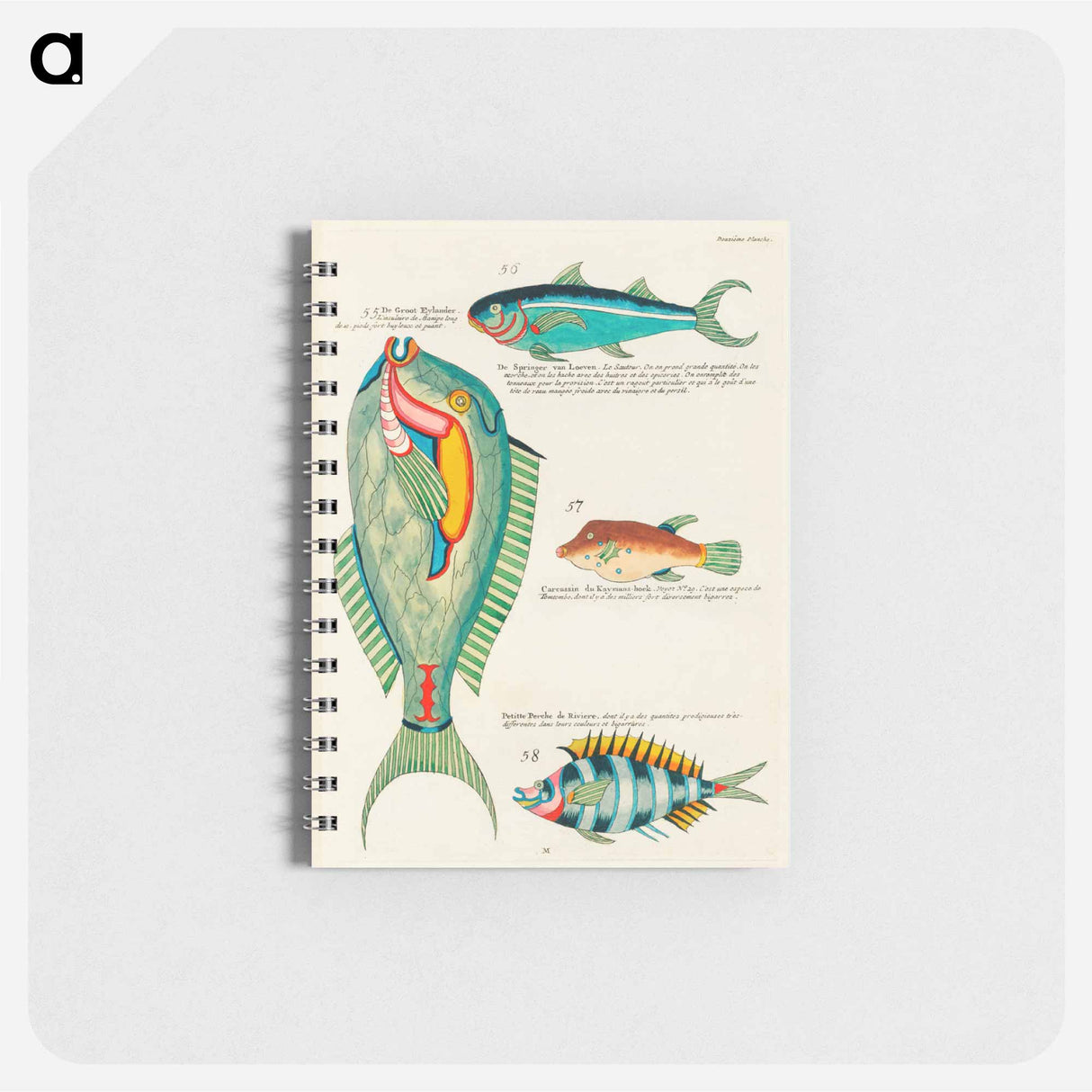 Moluccan Fishes
 - ルイ ルナール Memo.