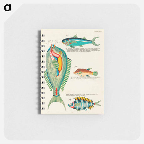 アートメモ帳-Moluccan Fishes
 - ルイ ルナール Memo.