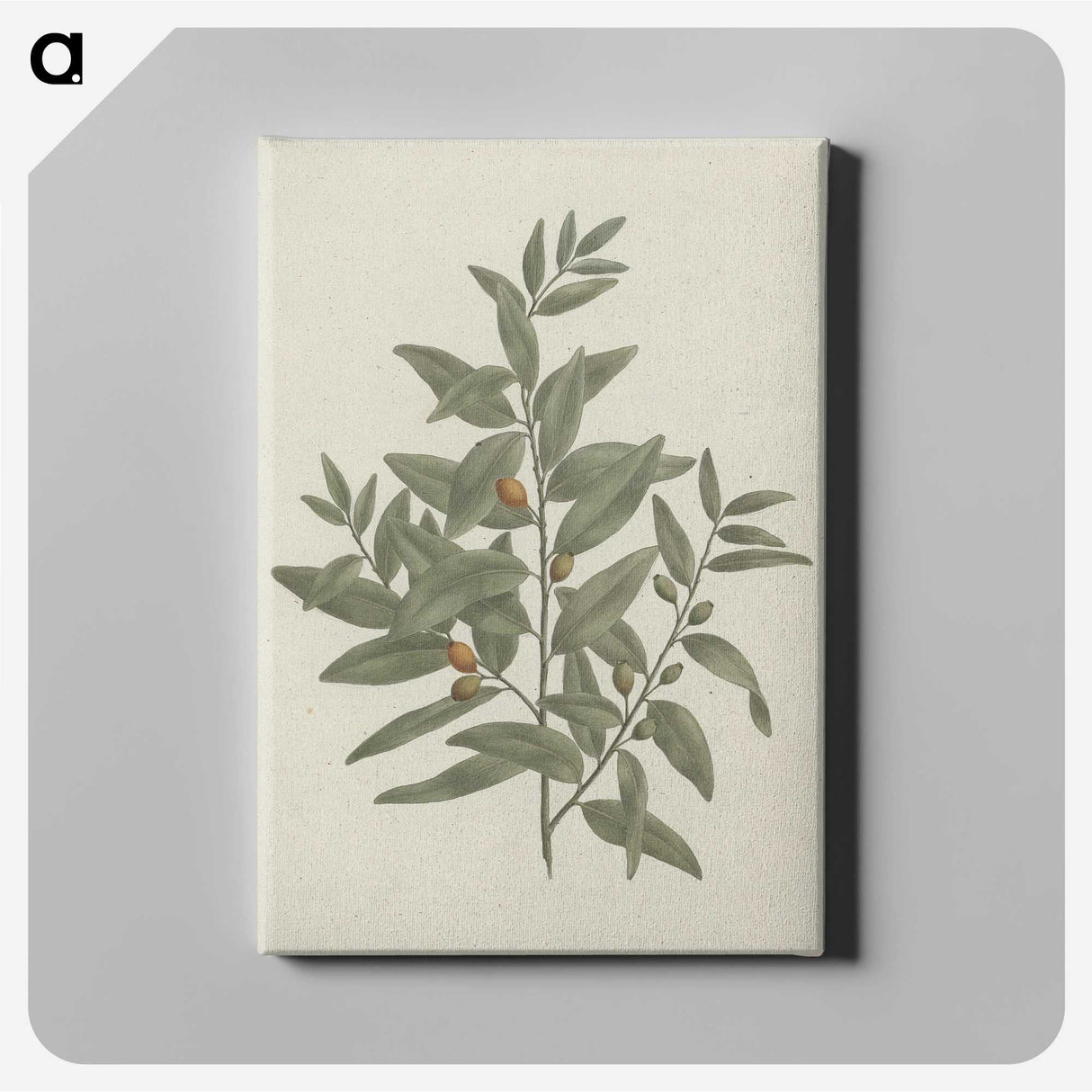 1-51_Luigi-Balugani_canvas