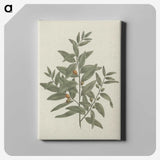 1-51_Luigi-Balugani_canvas