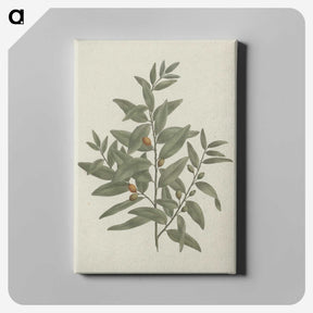1-51_Luigi-Balugani_canvas