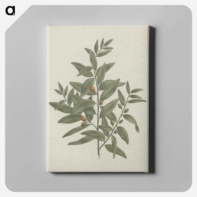 1-51_Luigi-Balugani_canvas