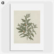 1-51_Luigi-Balugani_picture