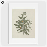 1-51_Luigi-Balugani_picture