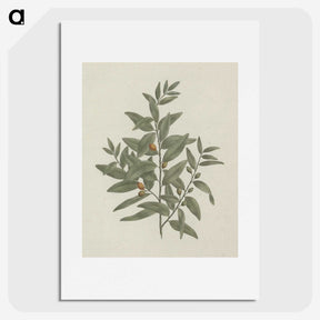 1-51_Luigi-Balugani_picture
