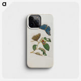 1-51_Maria-Sibylla-Merian_phone