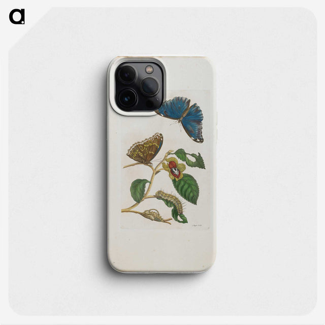 1-51_Maria-Sibylla-Merian_phone