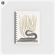 1-51_Mark-Catesby_memo
