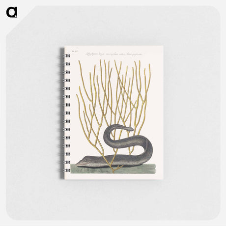 アートメモ帳-Black Murrey
 - マーク ケイツビー Memo.