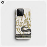 1-51_Mark-Catesby_phone