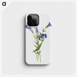 1-51_Mary-Vaux-Walcott_phone