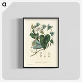 1-51_Medical-Botany_blk-crop