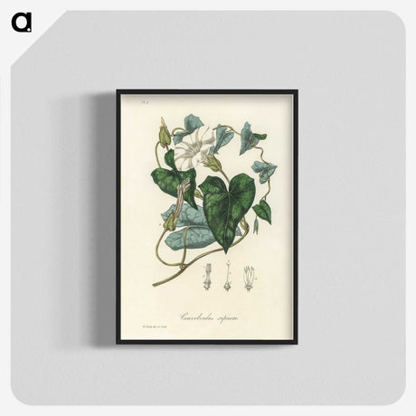 1-51_Medical-Botany_blk-crop