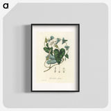 1-51_Medical-Botany_blk