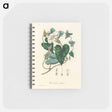 アートメモ帳-Bindweed
 - 薬用植物学 Memo.