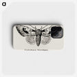 1-51_Moths-and-Butterflies-of-the-United-States_phone
