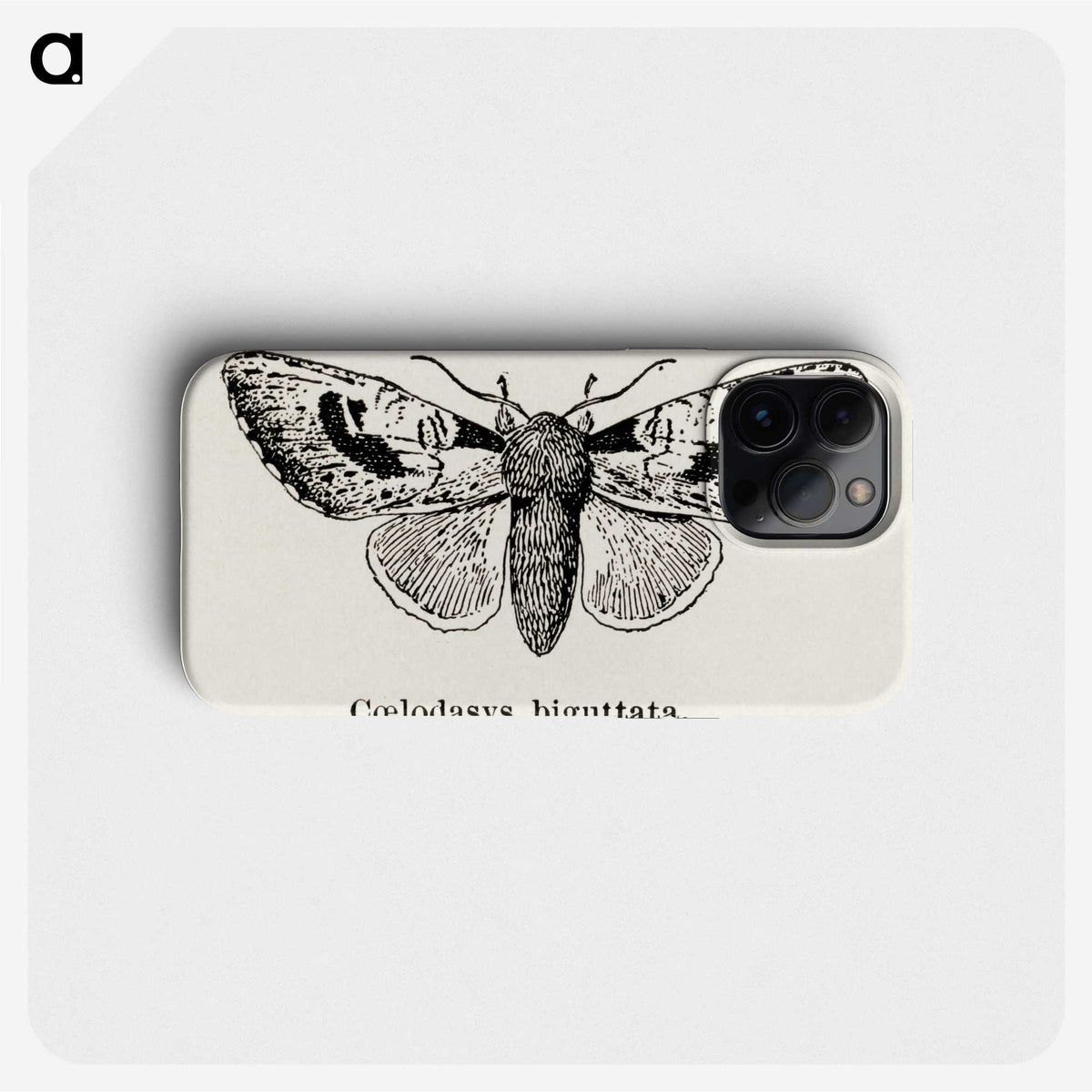 1-51_Moths-and-Butterflies-of-the-United-States_phone