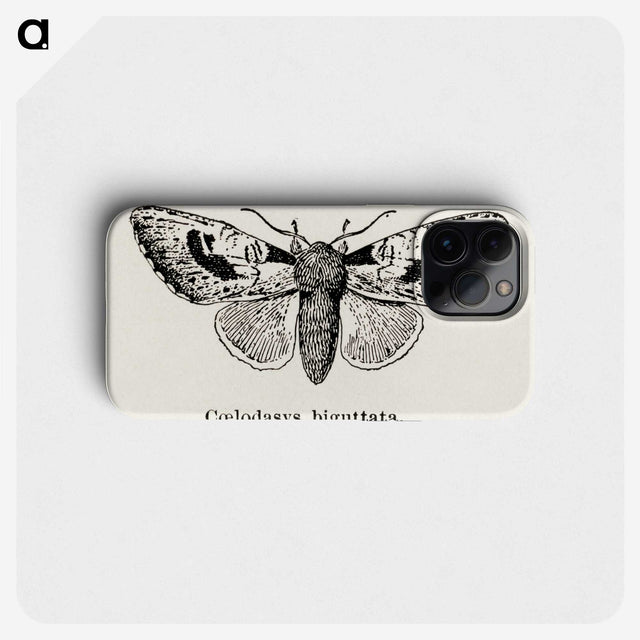 1-51_Moths-and-Butterflies-of-the-United-States_phone