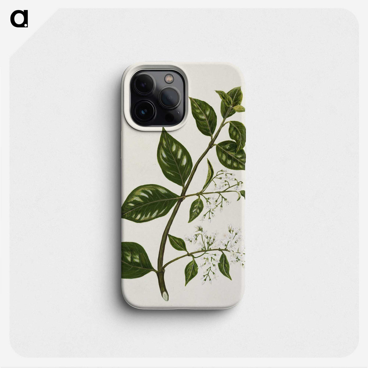 1-51_Native-Flowering-Plants-of-New-Zealand_phone