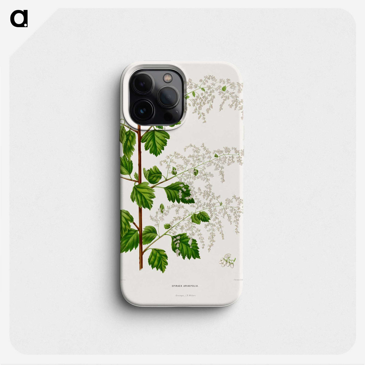 1-51_Nederlandsche-Flora-en-Pomona_phone