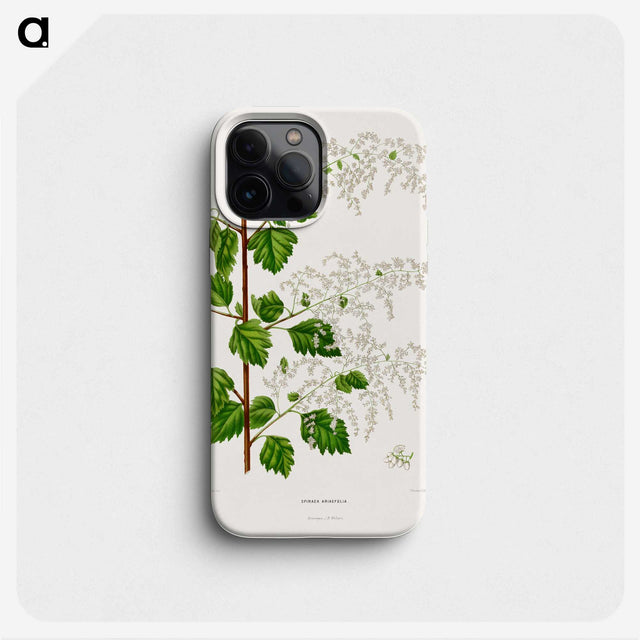 1-51_Nederlandsche-Flora-en-Pomona_phone