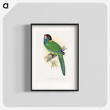 1-51_Parrots-in-Captivity_blk