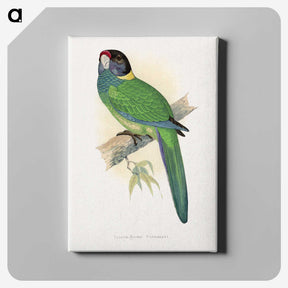 1-51_Parrots-in-Captivity_canvas