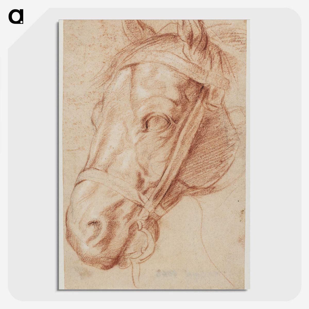 1-51_Peter-Paul-Rubens_picture-crop