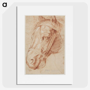 1-51_Peter-Paul-Rubens_picture