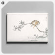 アートパネル-Japanese Pied Kingfisher
 - 鳥類図鑑 Canvas.