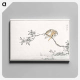 アートパネル-Japanese Pied Kingfisher
 - 鳥類図鑑 Canvas.