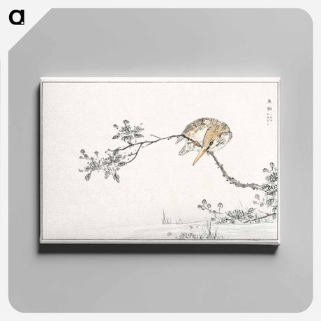 アートパネル-Japanese Pied Kingfisher
 - 鳥類図鑑 Canvas.