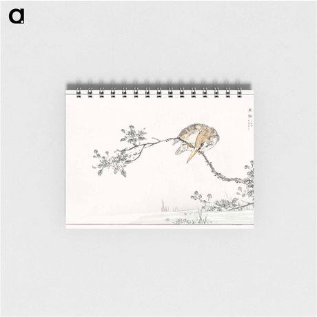 アートメモ帳-Japanese Pied Kingfisher
 - 鳥類図鑑 Memo.