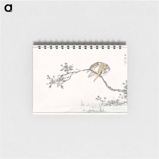 アートメモ帳-Japanese Pied Kingfisher
 - 鳥類図鑑 Memo.