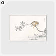 アートポストカード-Japanese Pied Kingfisher
 - 鳥類図鑑 Postcard.