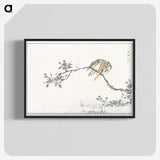 1-51_Pictorial-Monograph-of-Birds_blk-crop
