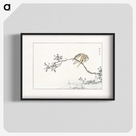 1-51_Pictorial-Monograph-of-Birds_blk