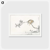 1-51_Pictorial-Monograph-of-Birds_hagaki