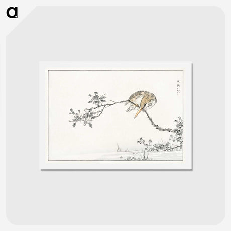 1-51_Pictorial-Monograph-of-Birds_hagaki