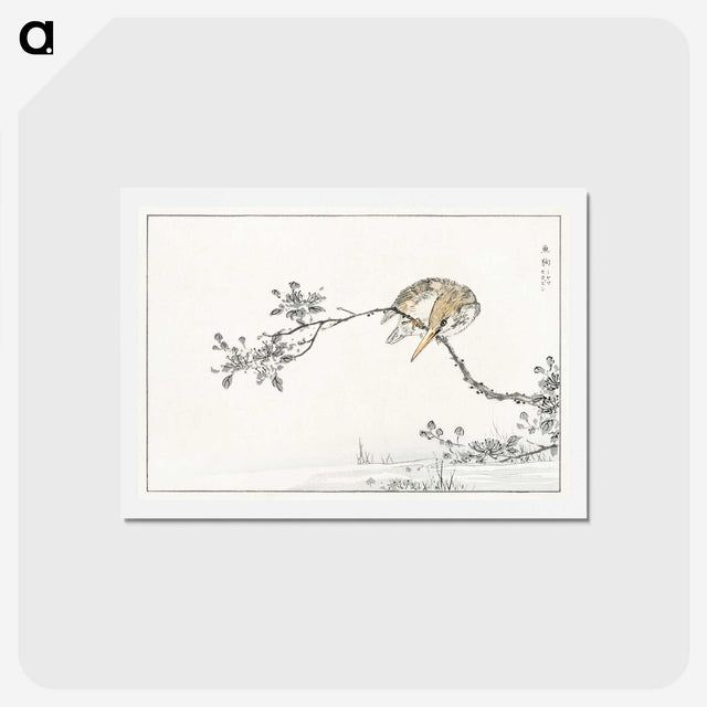 1-51_Pictorial-Monograph-of-Birds_hagaki