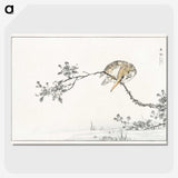 1-51_Pictorial-Monograph-of-Birds_picture-crop