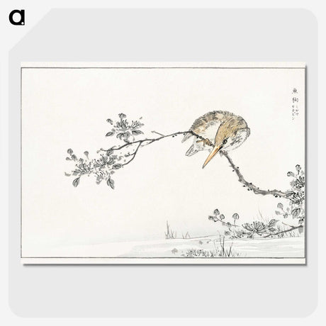 1-51_Pictorial-Monograph-of-Birds_picture-crop