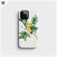 1-51_Pierre-Joseph-Redoute_phone