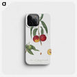 1-51_Pomona-Italiana_phone