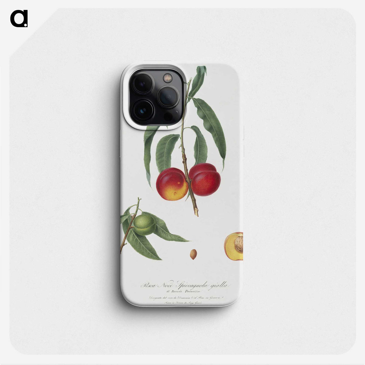 1-51_Pomona-Italiana_phone