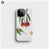 1-51_Pomona-Italiana_phone